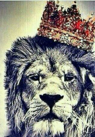 Лев с короной