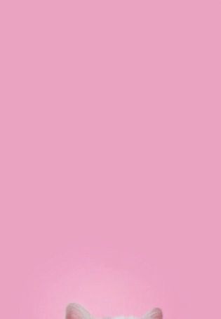 Розовые лапки