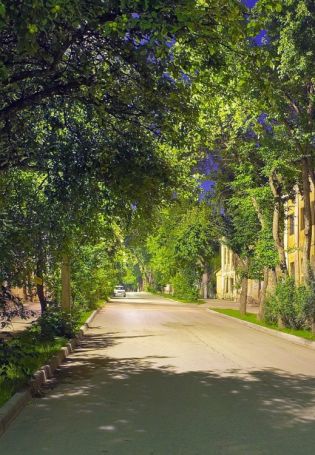 Фон летняя улица