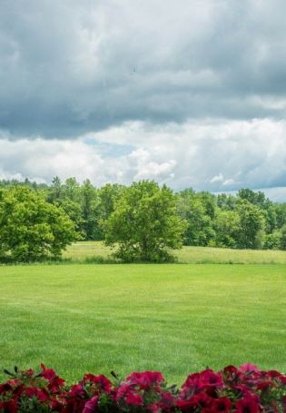 Сад панорама