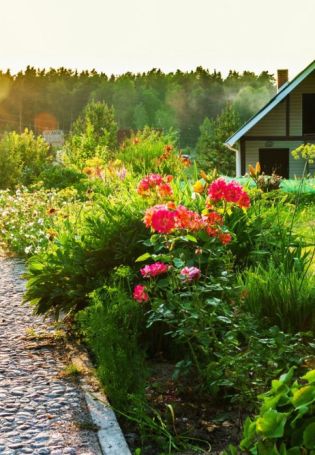 Огород обои