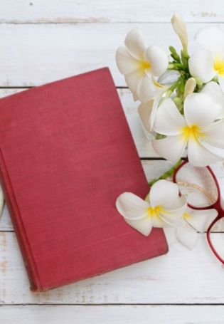 Цвет книги фон