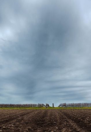 Фон серое небо