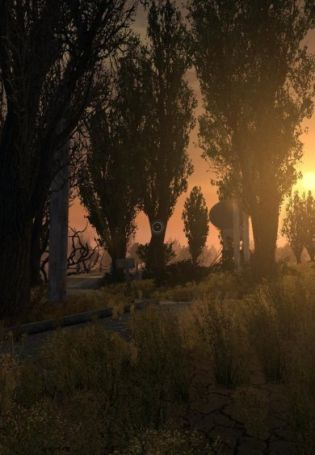 Сталкер обои