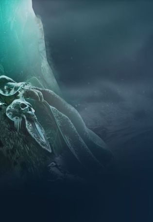 Король лич обои