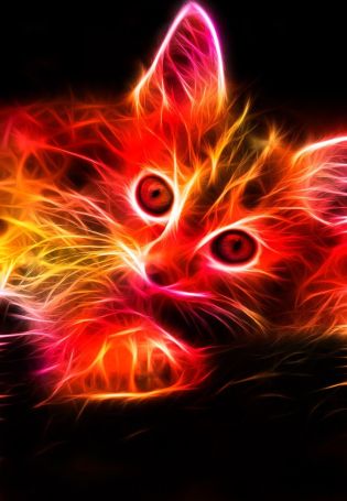 Светящиеся кошки
