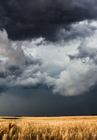 Гроза в поле