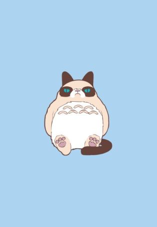 Обои коты милые