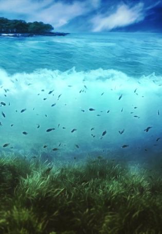 Остров под водой