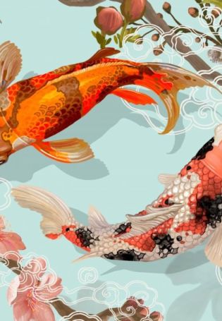 Китайские карпы