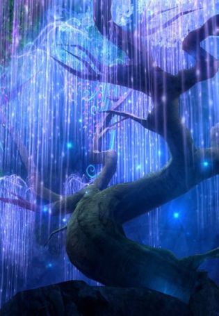 Эйва дерево