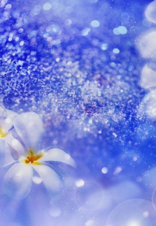 Весенние голубые цветочки