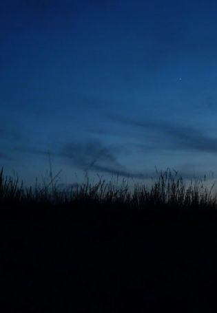 Ночное поле