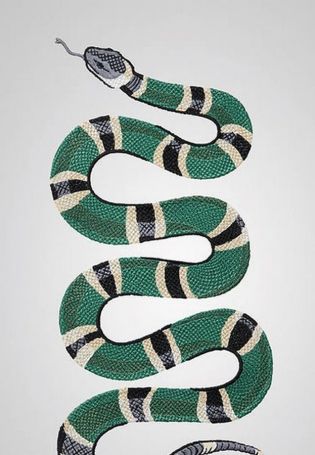 Змея логотип