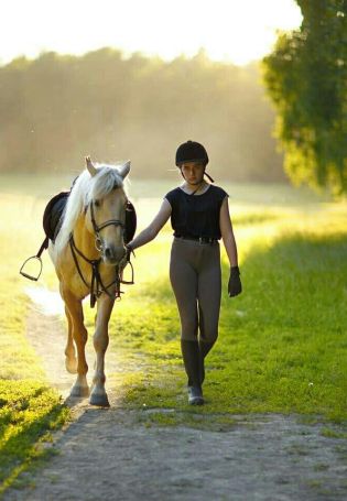 Романтическая прогулка на лошадях
