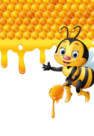 Соты с пчелкой