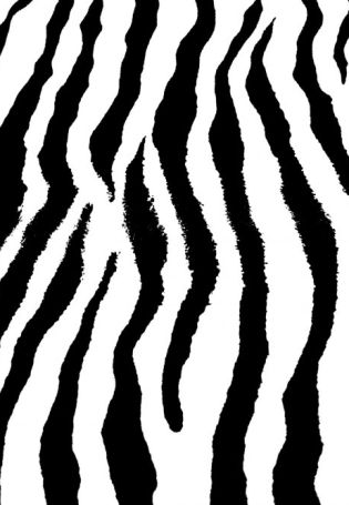 Полоски зебры