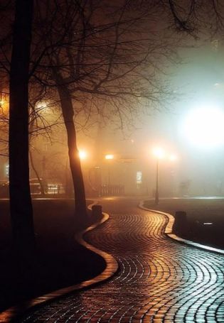 Ночная улица с фонарями