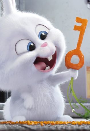 Кролик снежок