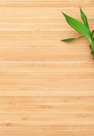 Ростки бамбука