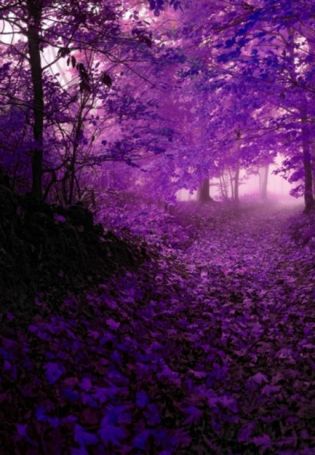 Фиолетовый туман фон