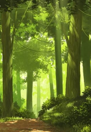 Зеленый фон лес