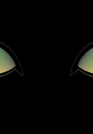 Кошачьи глаза на черном фоне
