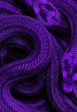 Темно фиолетовый дракон