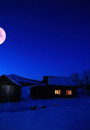 Лунная зимняя ночь