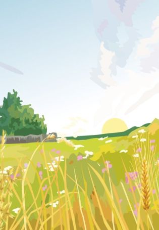 Сельский пейзаж