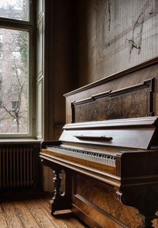 Пианино в лесу