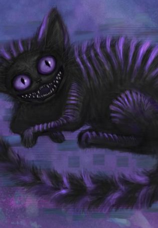 Злой черный котенок