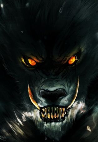 Волк черный злой