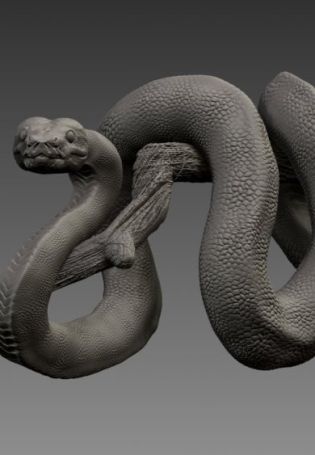 Клубок змей