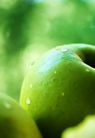 Зеленое яблочко
