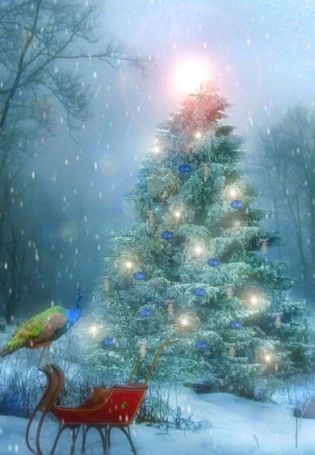 Сказочный рождественский лес