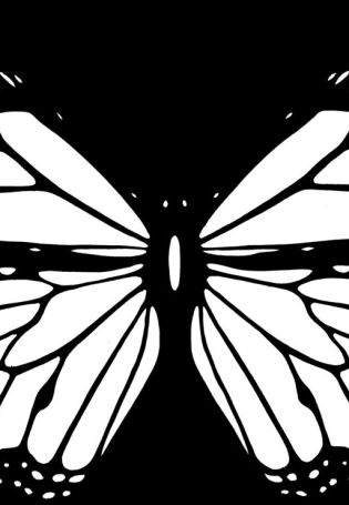 Бабочки нарисованные черно белые