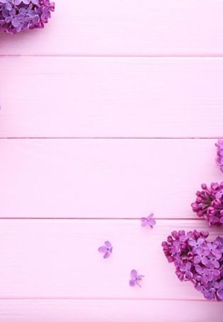 Цветок фиолетового цвета