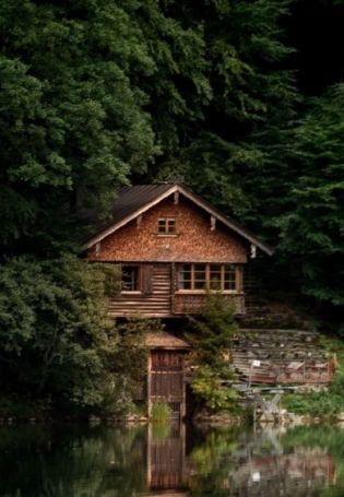 Дом у озера в лесу