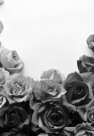 Черно белые розы