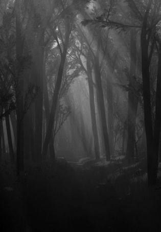Зловещий лес