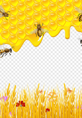 Фон для презентации пчеловодство