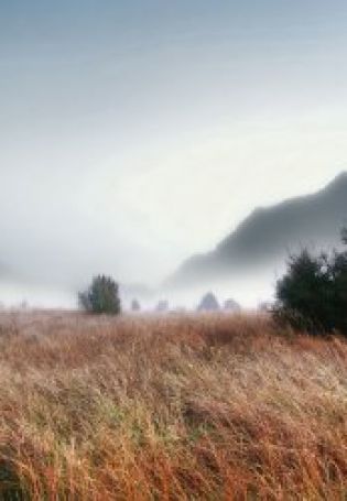 Пейзаж туман