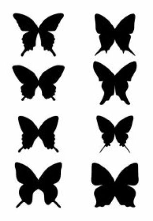 Черные бабочки картинки