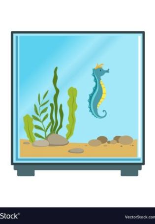 Картинки аквариума без рыбок