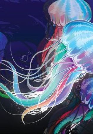 Рисунок медузы