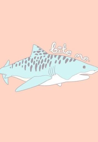 Котик акула рисунок