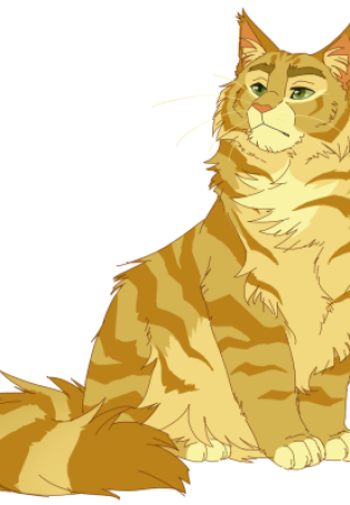 Рисунок коты воители