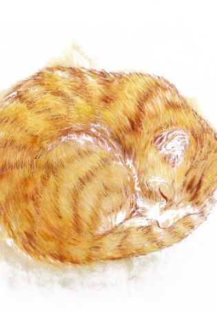Рисунки лежащих котов