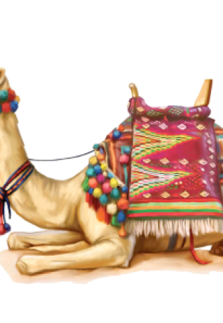 Рисунки верблюда